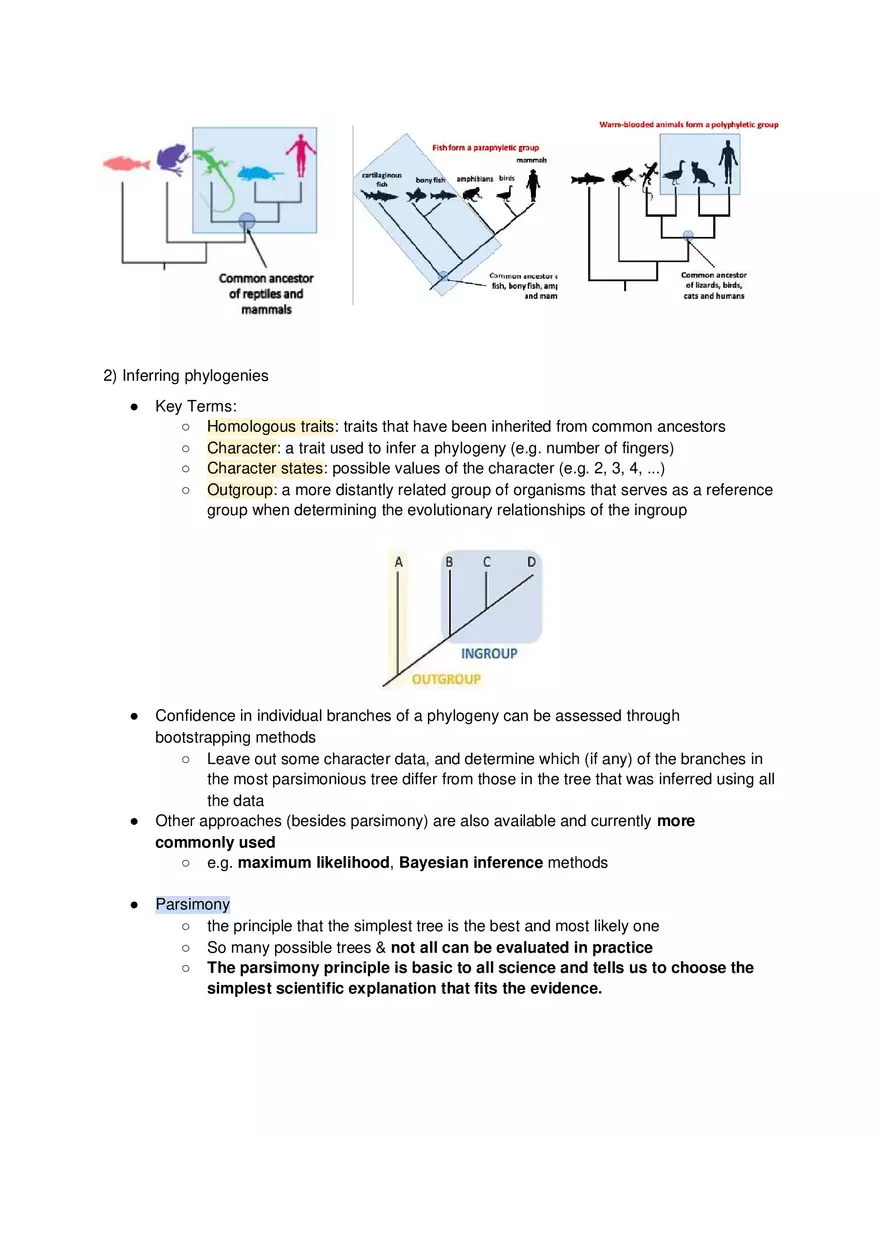 Phylogenetic Trees - Lecture Notes - Page 3