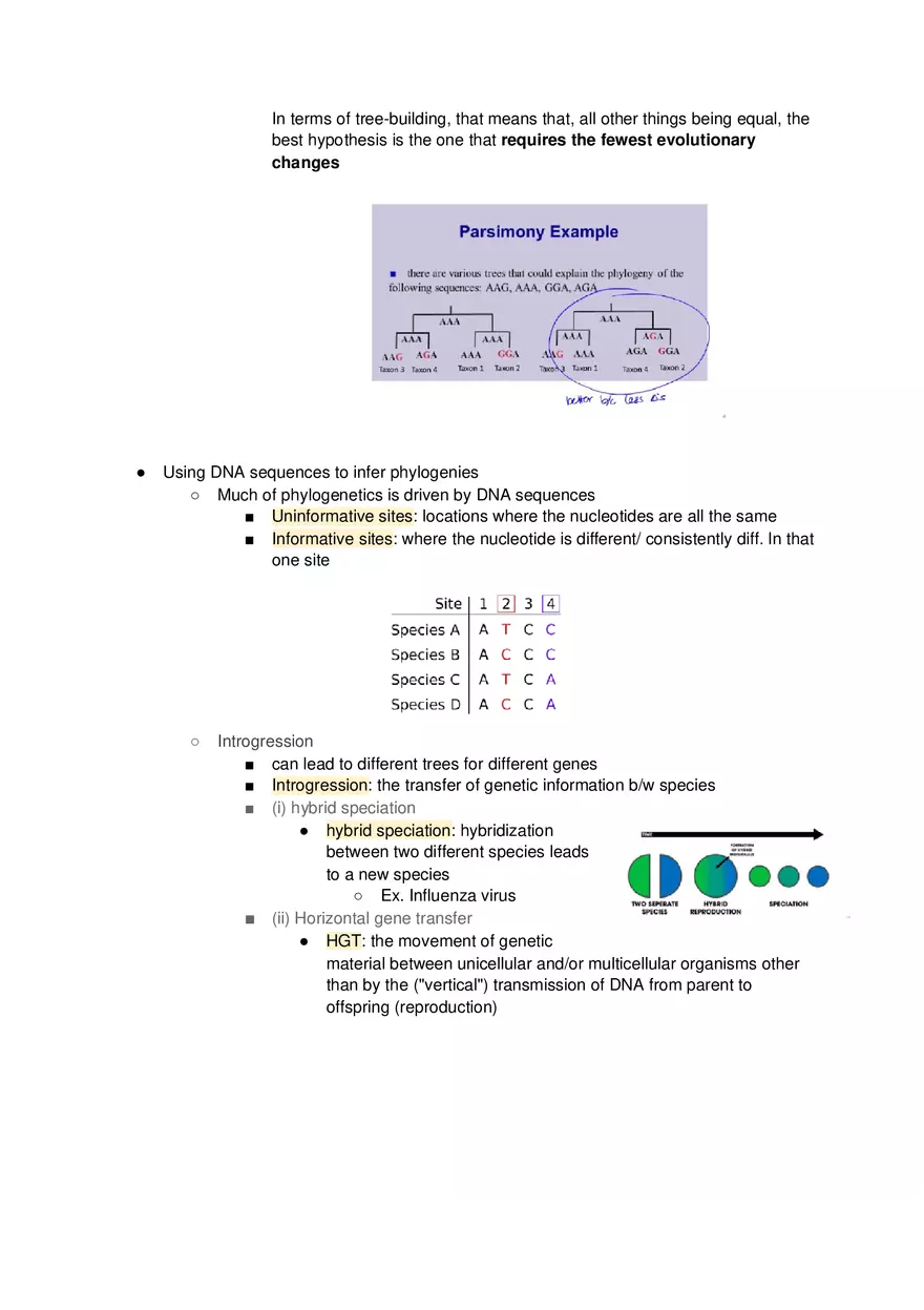 Phylogenetic Trees - Lecture Notes - Page 4