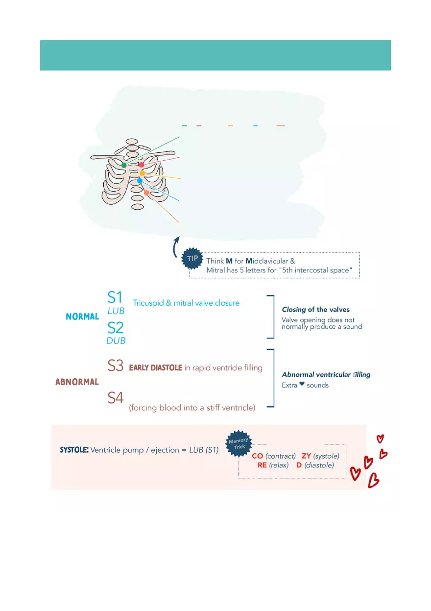Cardiac System Med Surg Notes 1 - Page 3