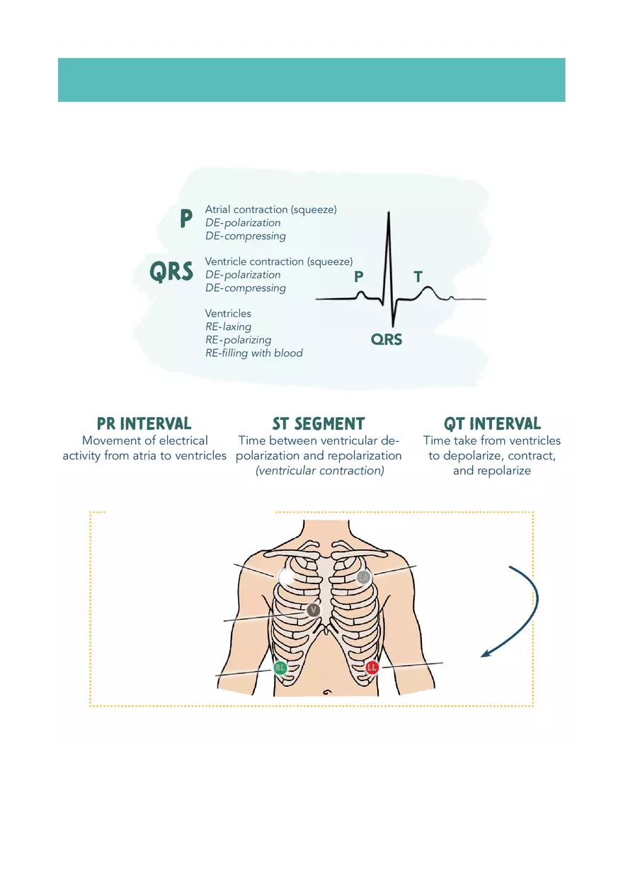 Cardiac System Med Surg Notes 1 - Page 4