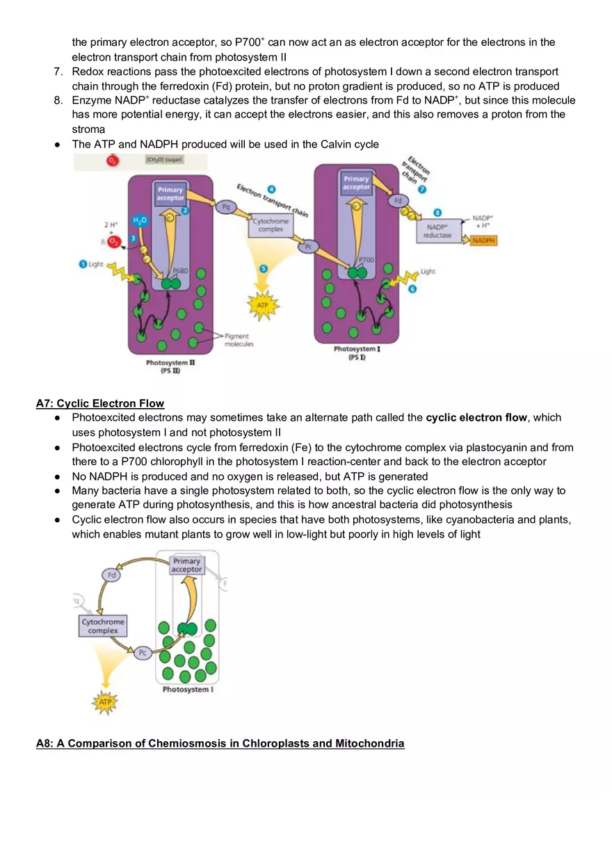 Campbell Biology Chapter 10 Photosynthesis - Page 7