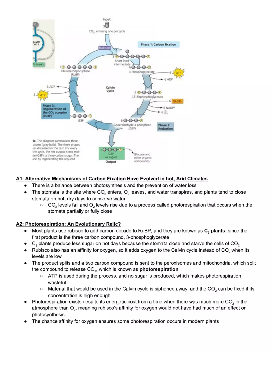 Campbell Biology Chapter 10 Photosynthesis - Page 10