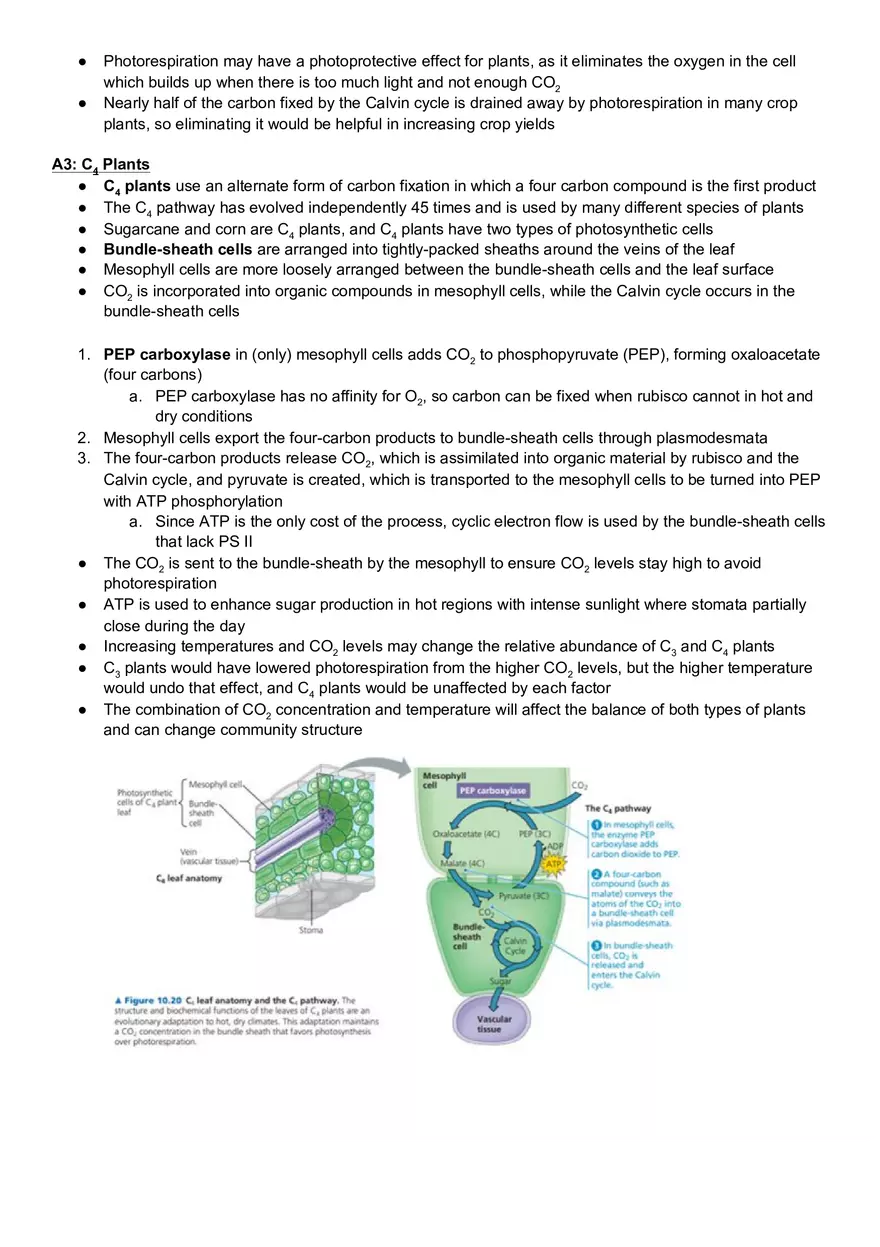 Campbell Biology Chapter 10 Photosynthesis - Page 11