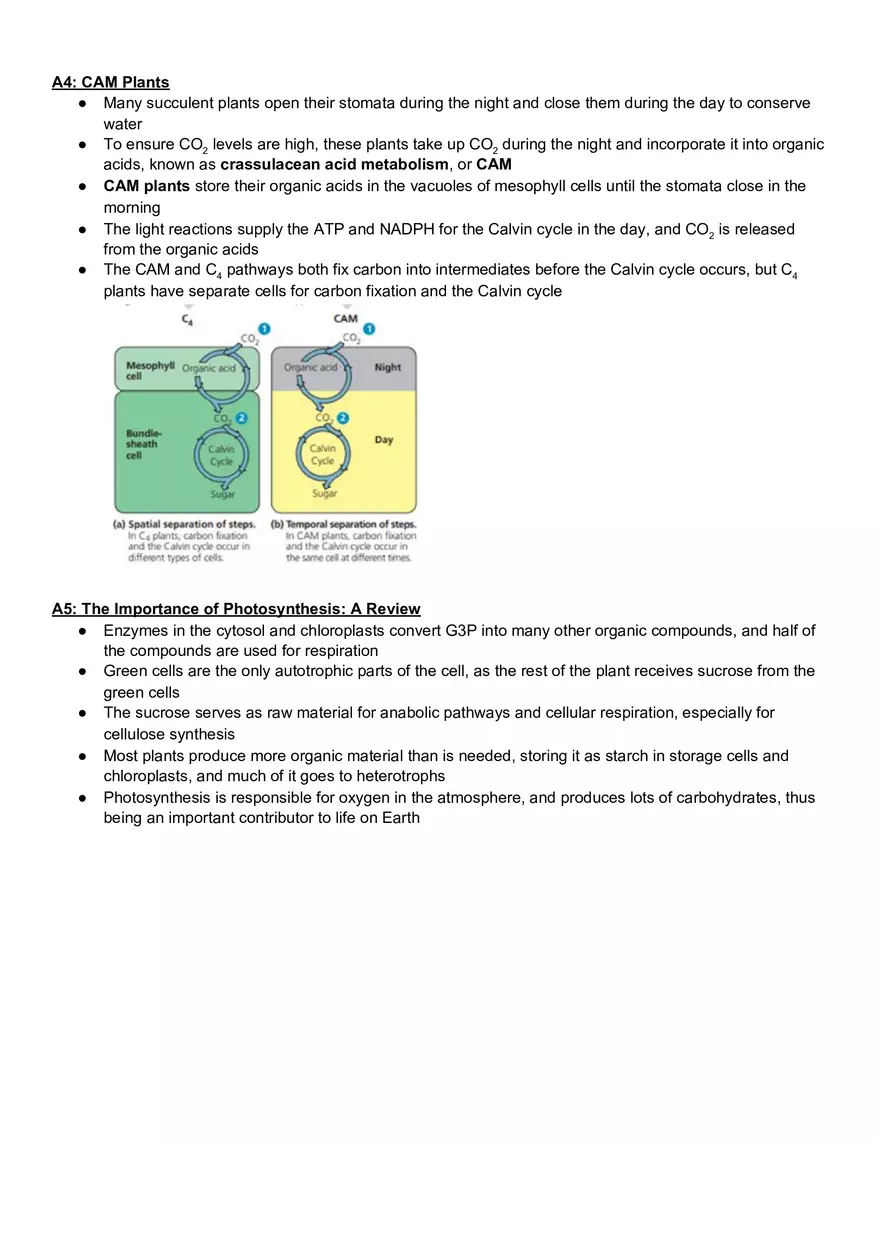Campbell Biology Chapter 10 Photosynthesis - Page 3
