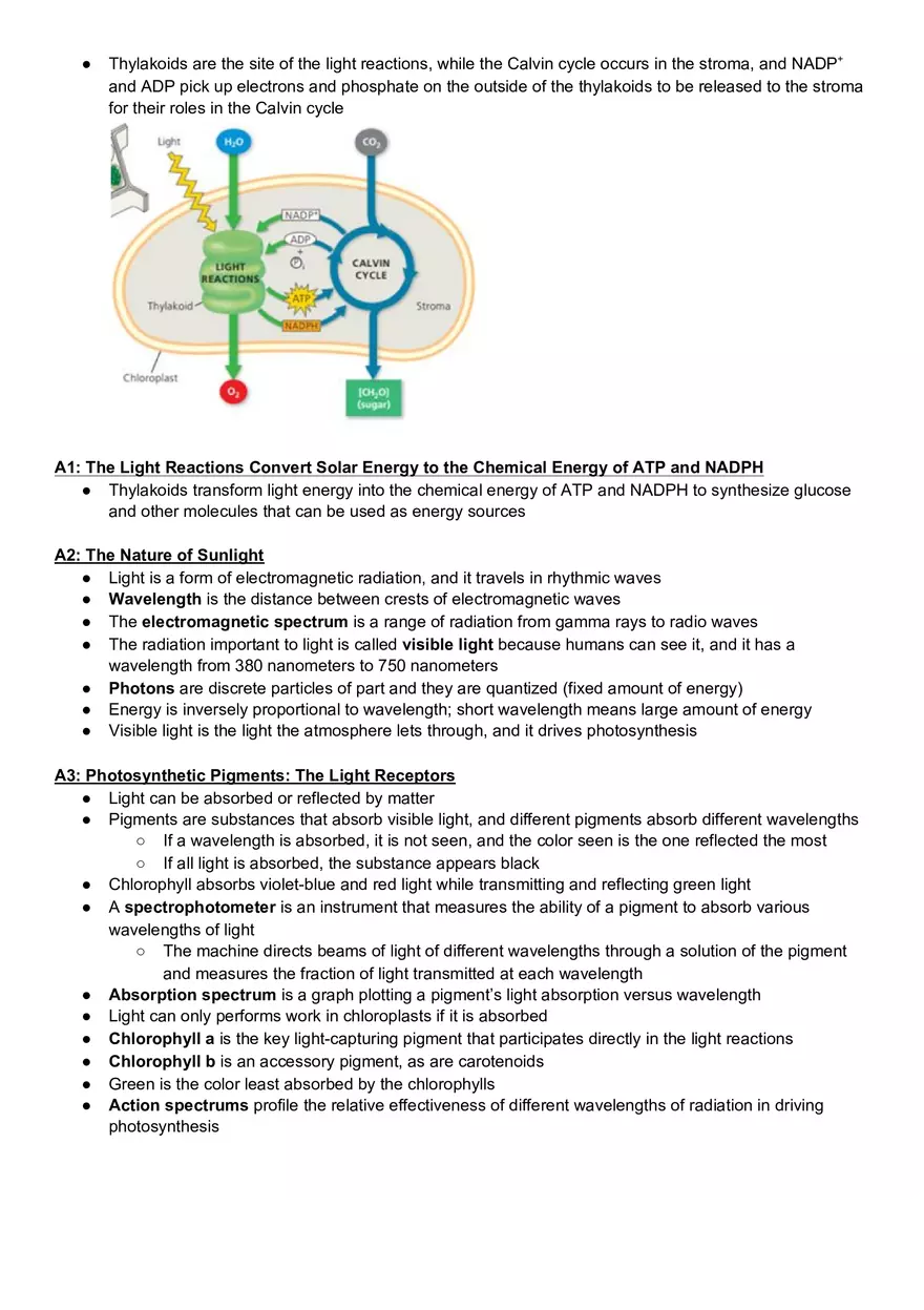 Campbell Biology Chapter 10 Photosynthesis - Page 4