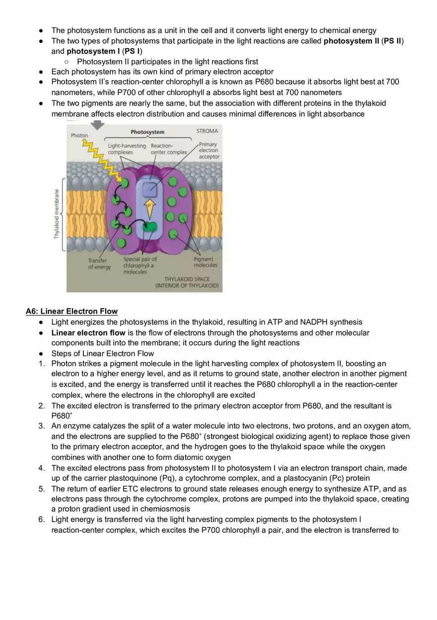 Campbell Biology Chapter 10 Photosynthesis - Page 6