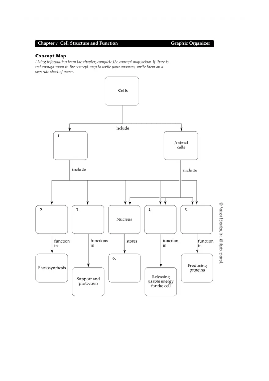 Concept Map Chapter 7 Cell Structure and Function Graphic - Page 1