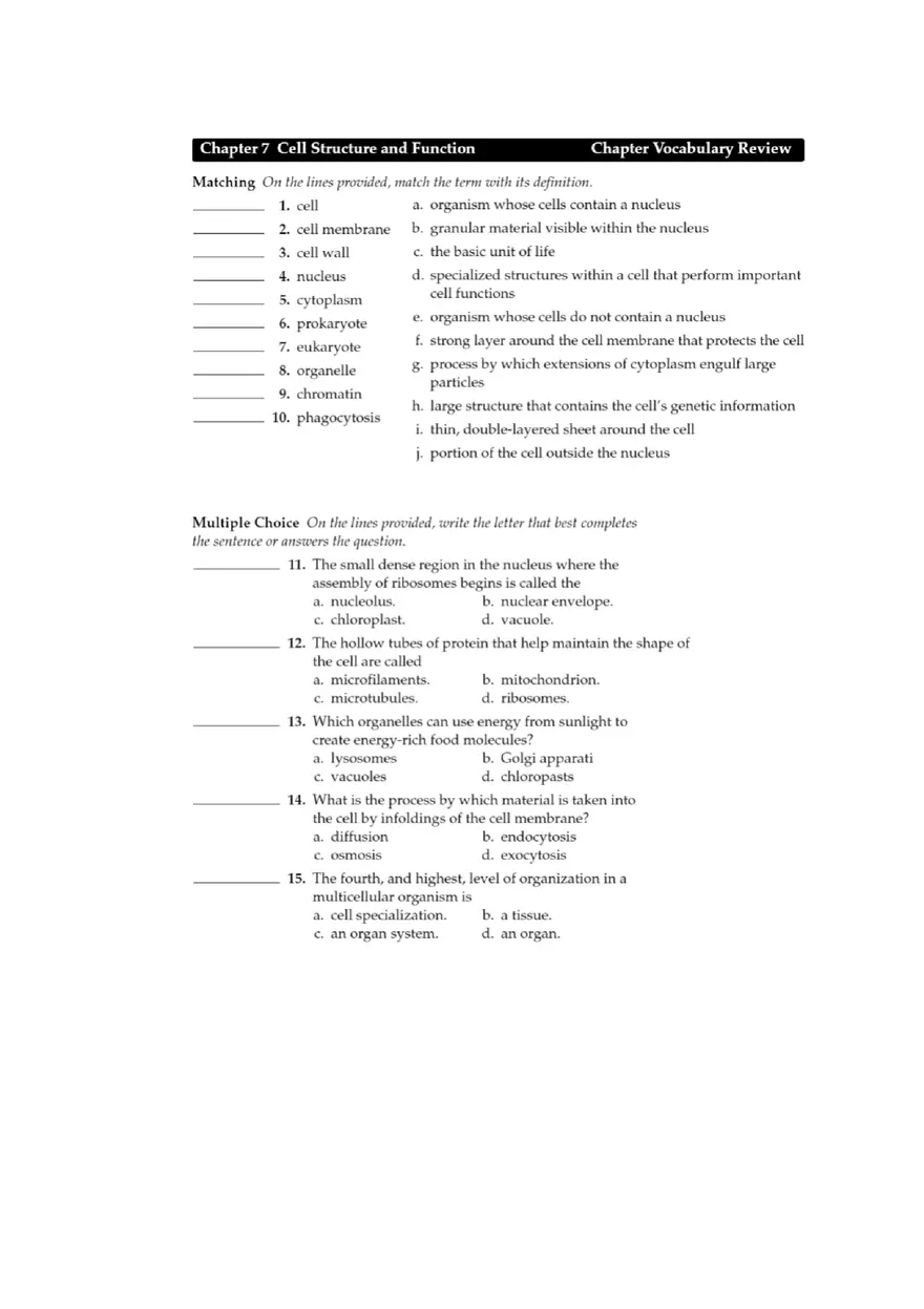 Concept Map Chapter 7 Cell Structure and Function Graphic - Page 3