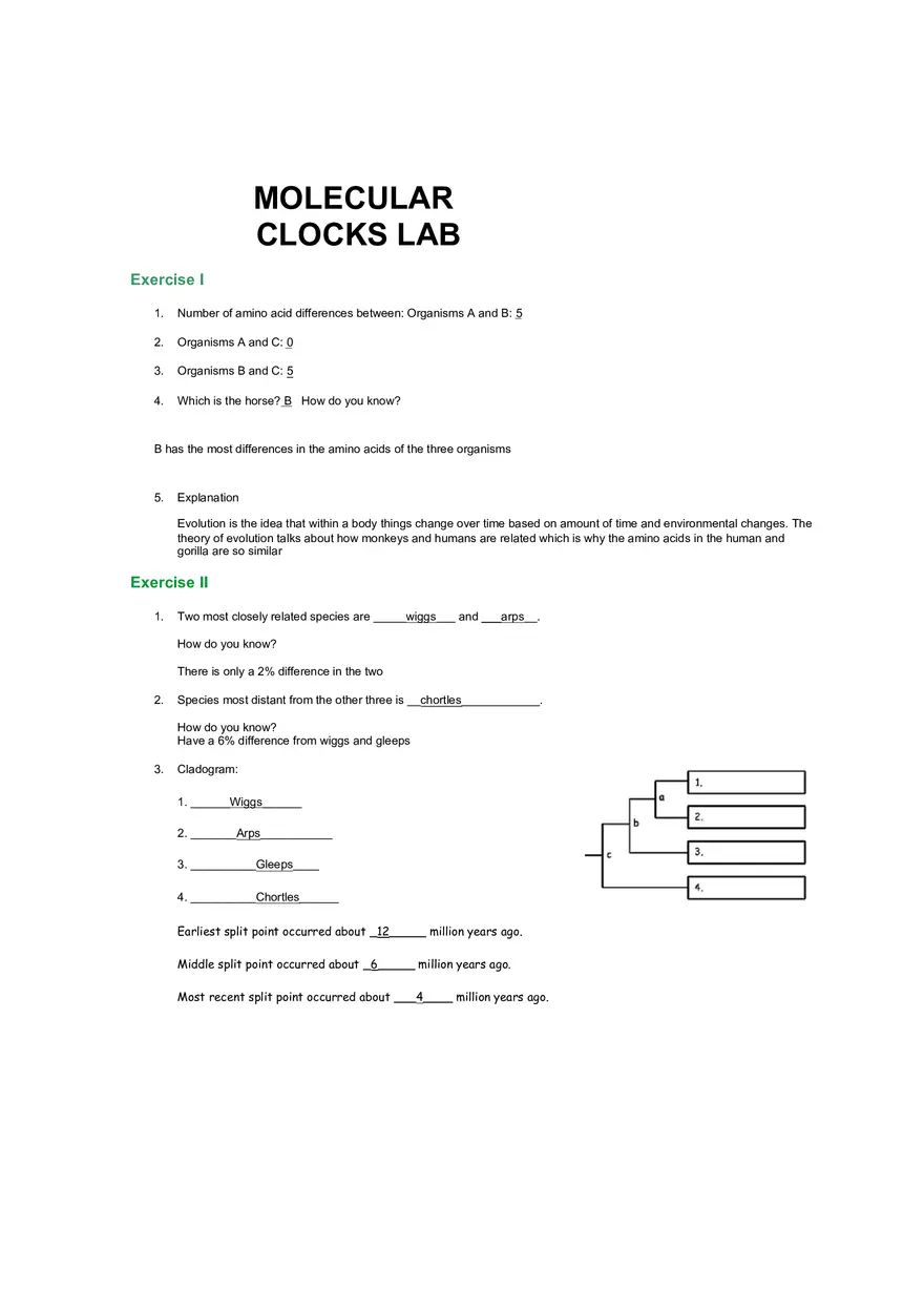 Molecular Clocks - Page 1