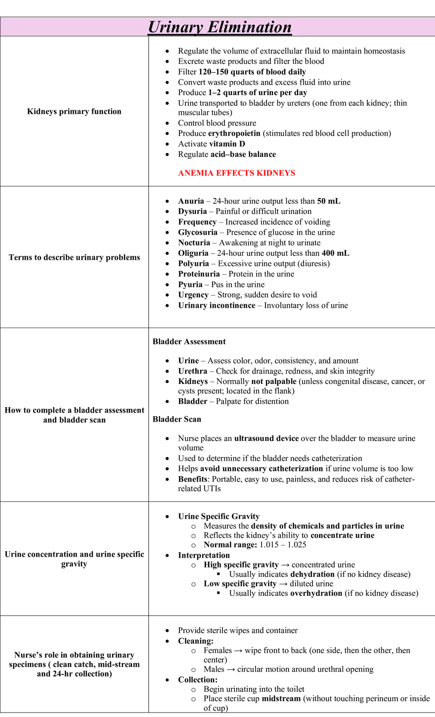 Sensory Perception Notes - Page 1