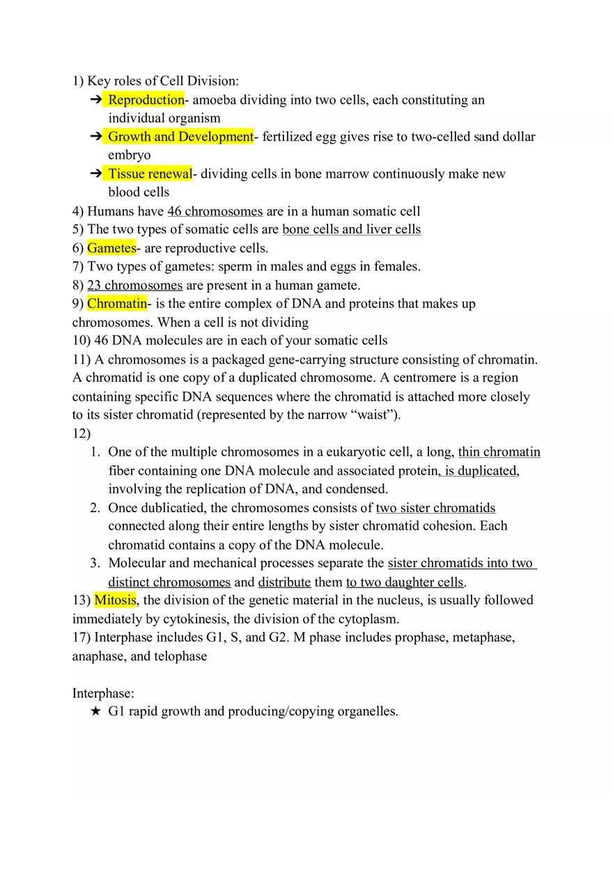 Chapter 12 Mitosis Study Guide - Page 1