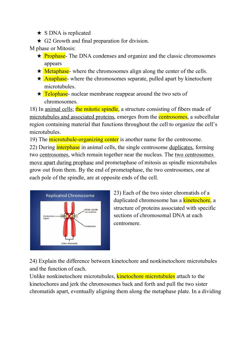 Chapter 12 Mitosis Study Guide - Page 2