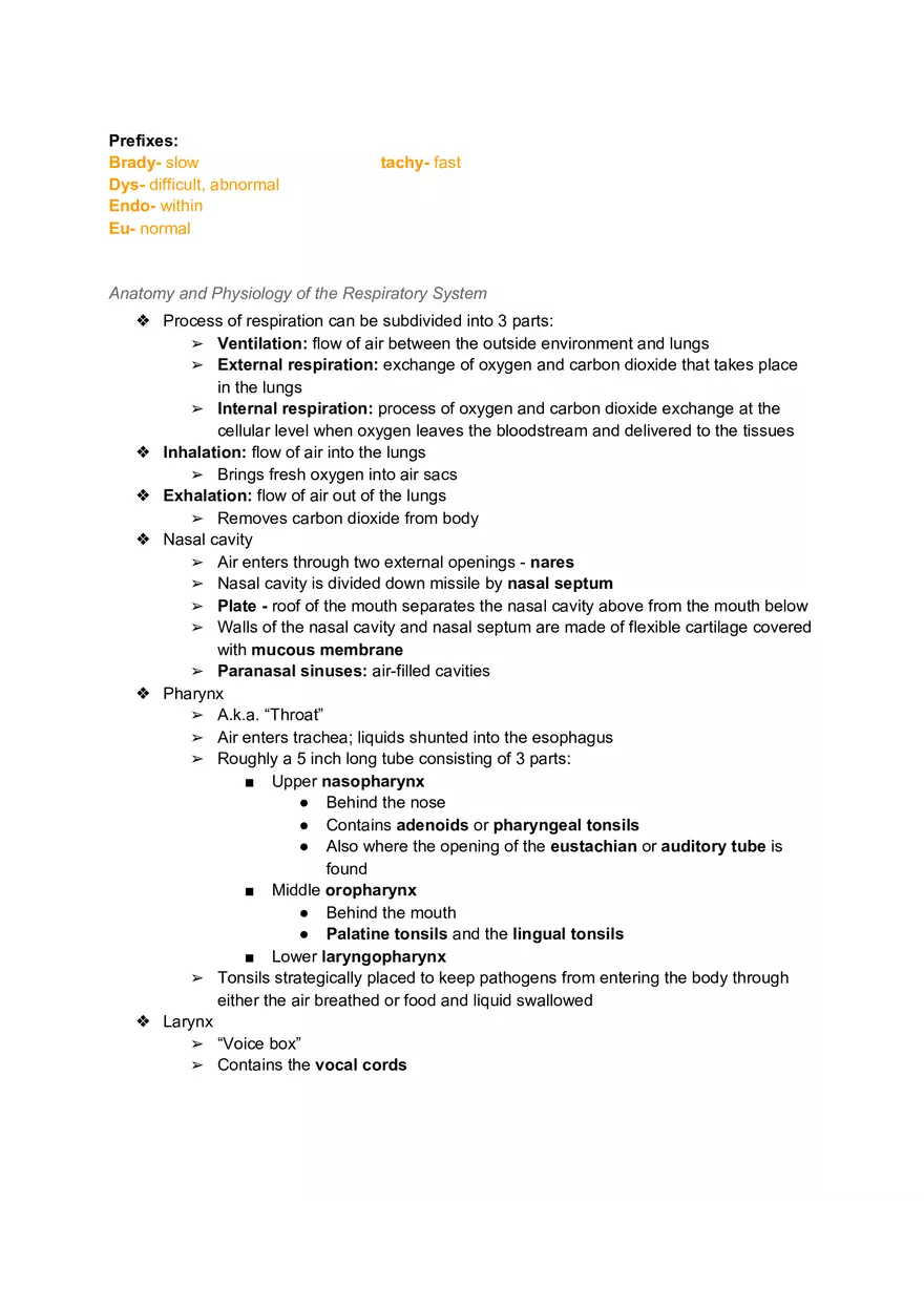 Ch. 7 - Respiratory System - Page 2