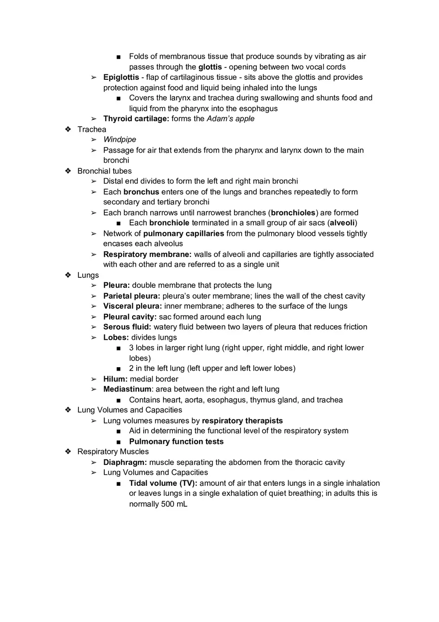 Ch. 7 - Respiratory System - Page 4