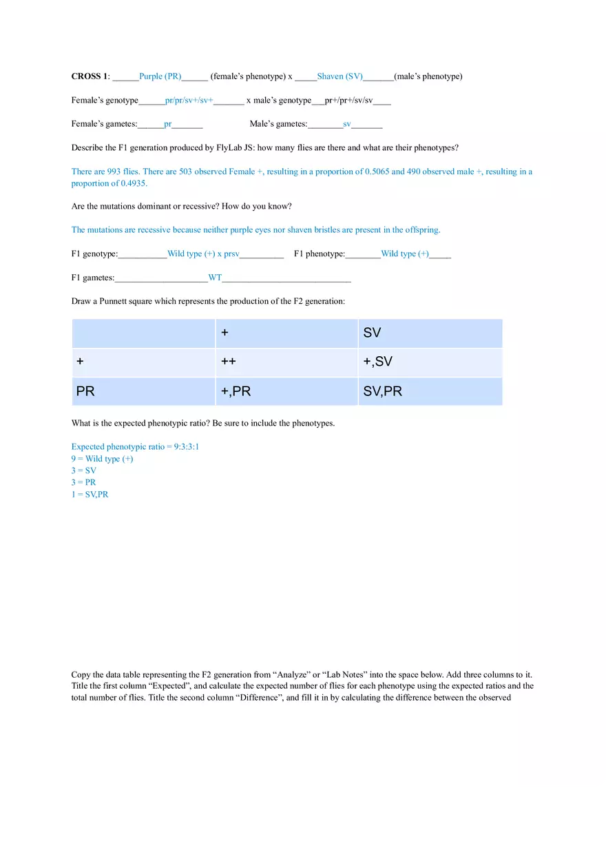 Fly Lab Report - Genetics - Page 1