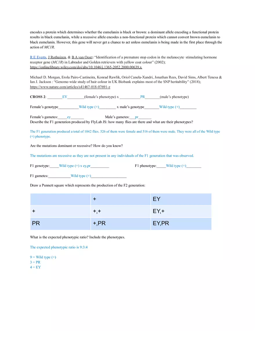 Fly Lab Report - Genetics - Page 5