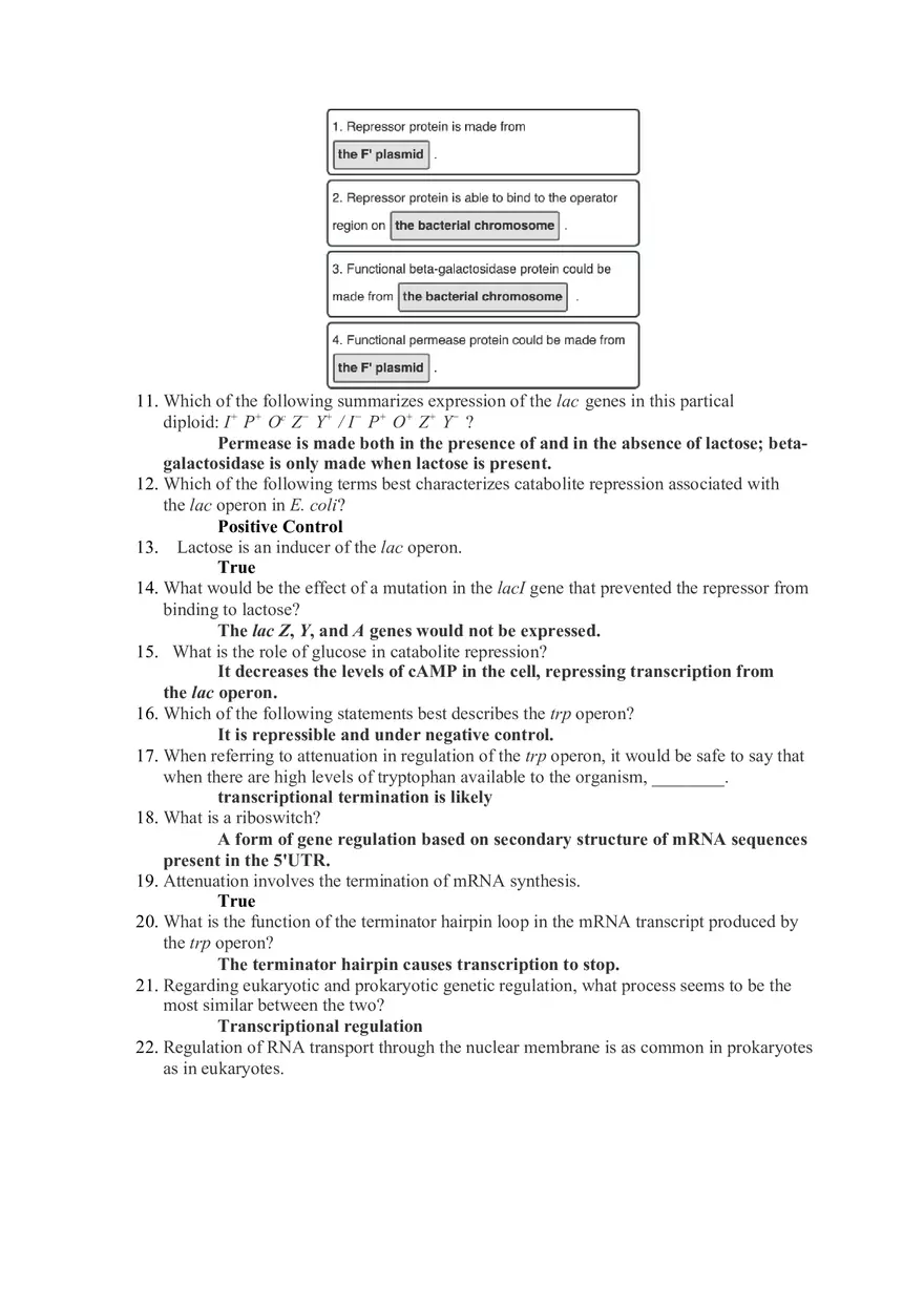 Genetics - Chapter 15 Review - Page 2