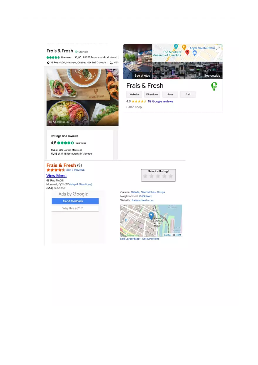 Marketing Strategies for Frais and Fresh Part 2 - Page 4