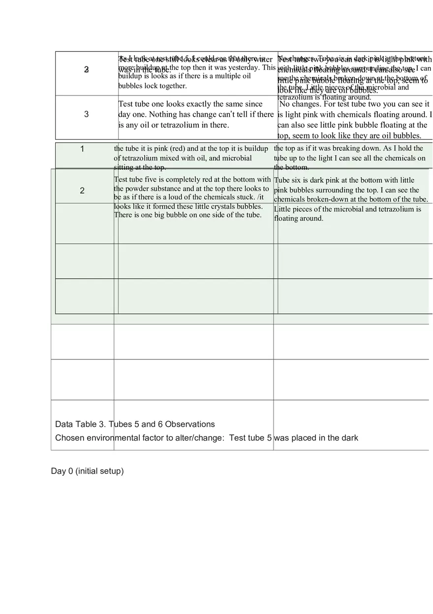 OIL Spill Bioremediation Lap Report - Page 4