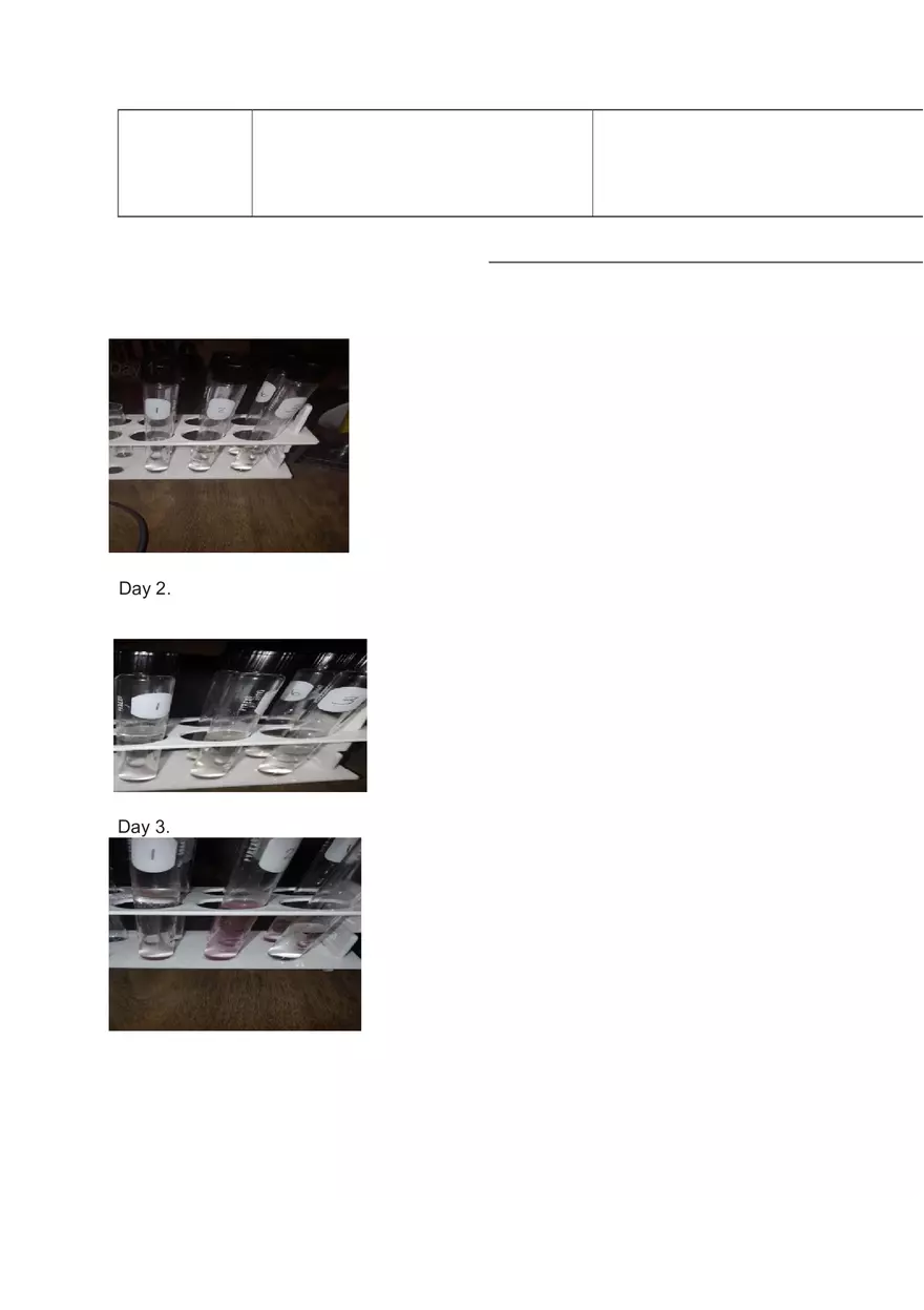 OIL Spill Bioremediation Lap Report - Page 5