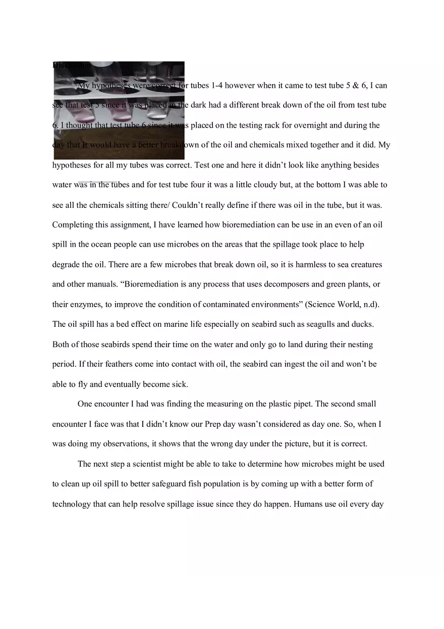 OIL Spill Bioremediation Lap Report - Page 6