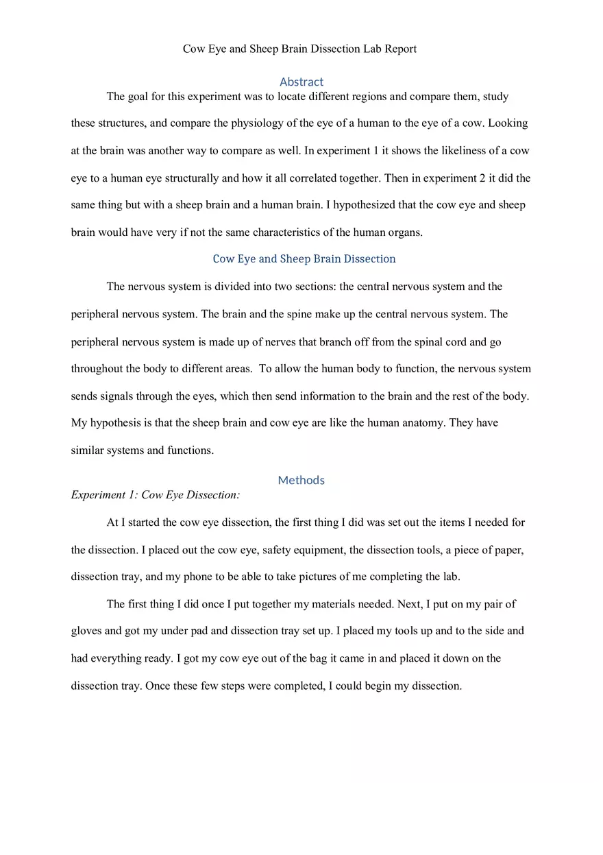 Cow Eye and Sheep Brain Dissection Lab Report - Page 1