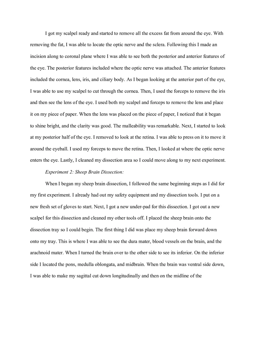 Cow Eye and Sheep Brain Dissection Lab Report - Page 2