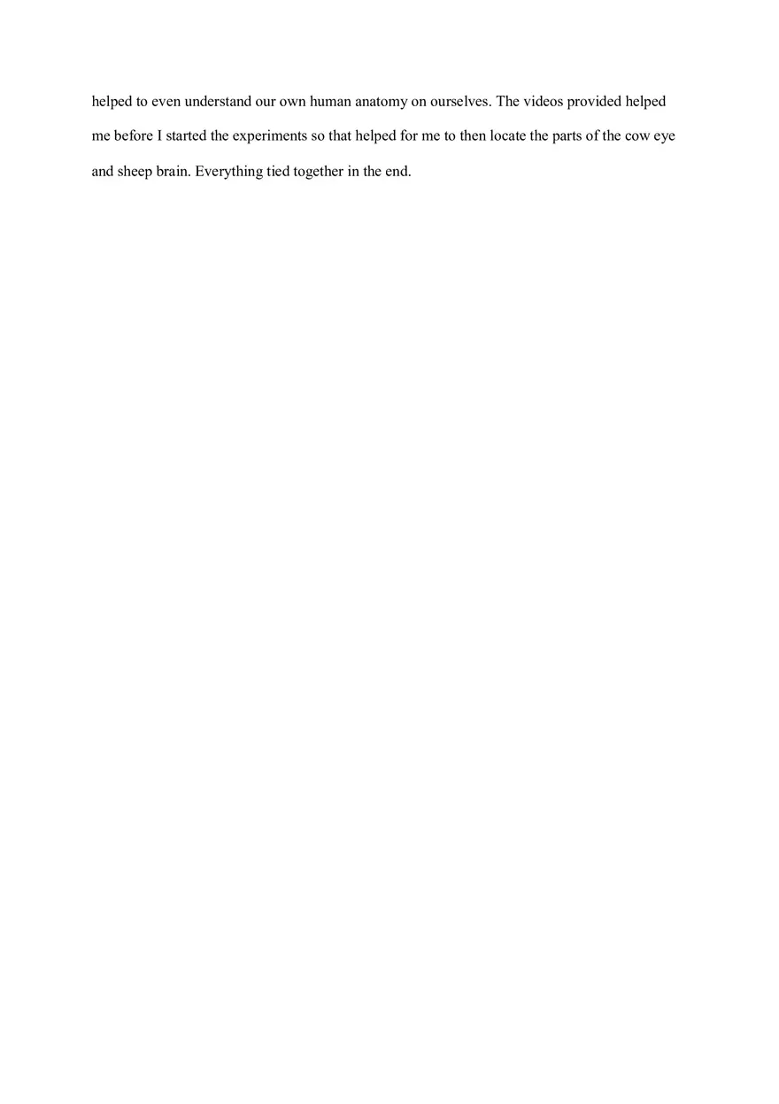 Cow Eye and Sheep Brain Dissection Lab Report - Page 6