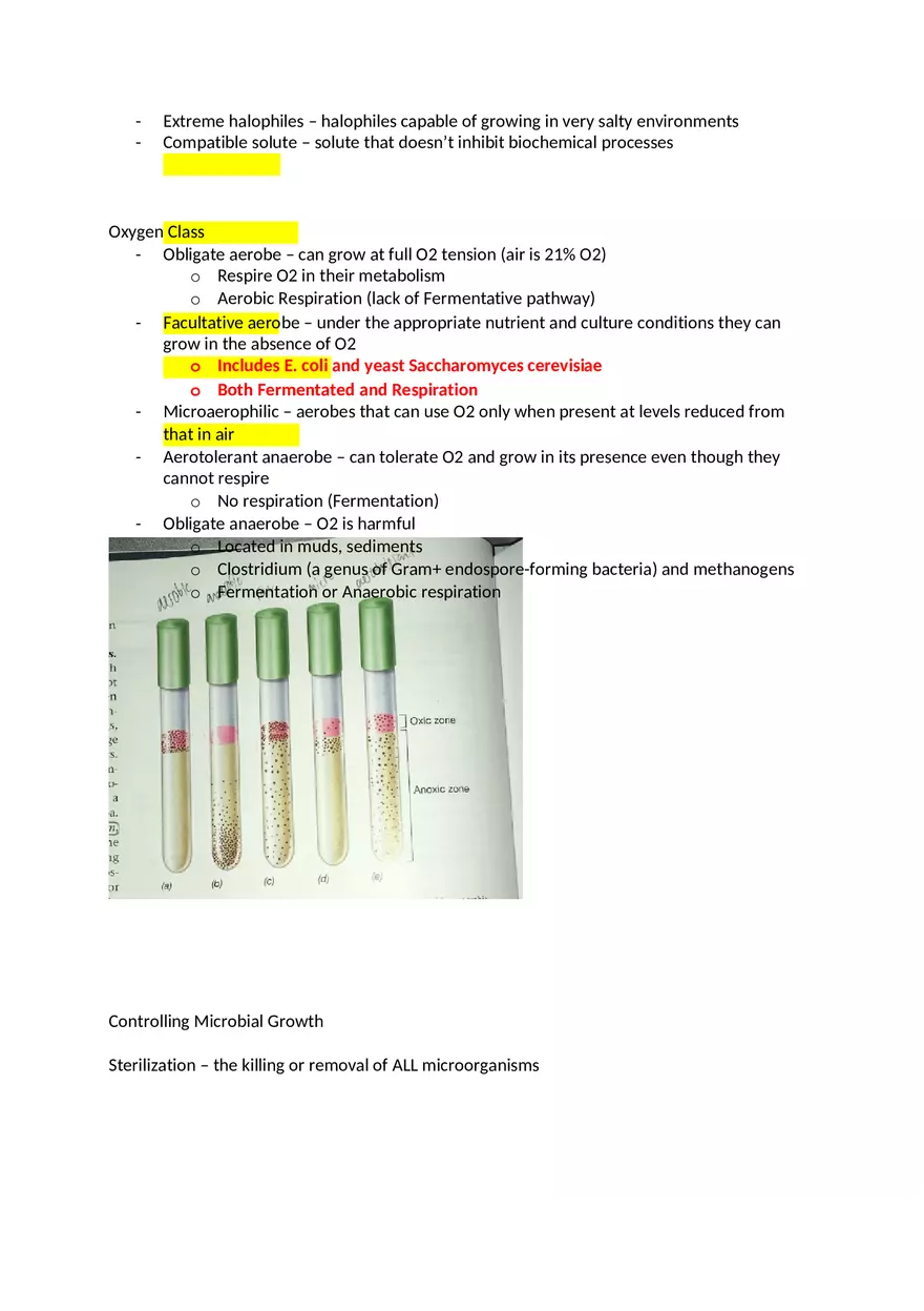 MRNA Microbiology Exam 2 Review - Page 10
