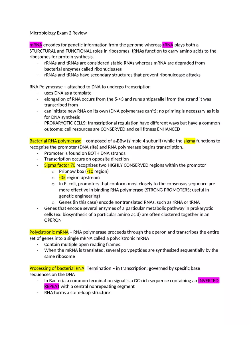 MRNA Microbiology Exam 2 Review - Page 1