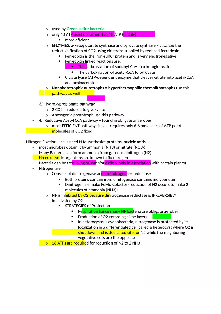 MRNA Microbiology Exam 2 Review - Page 3