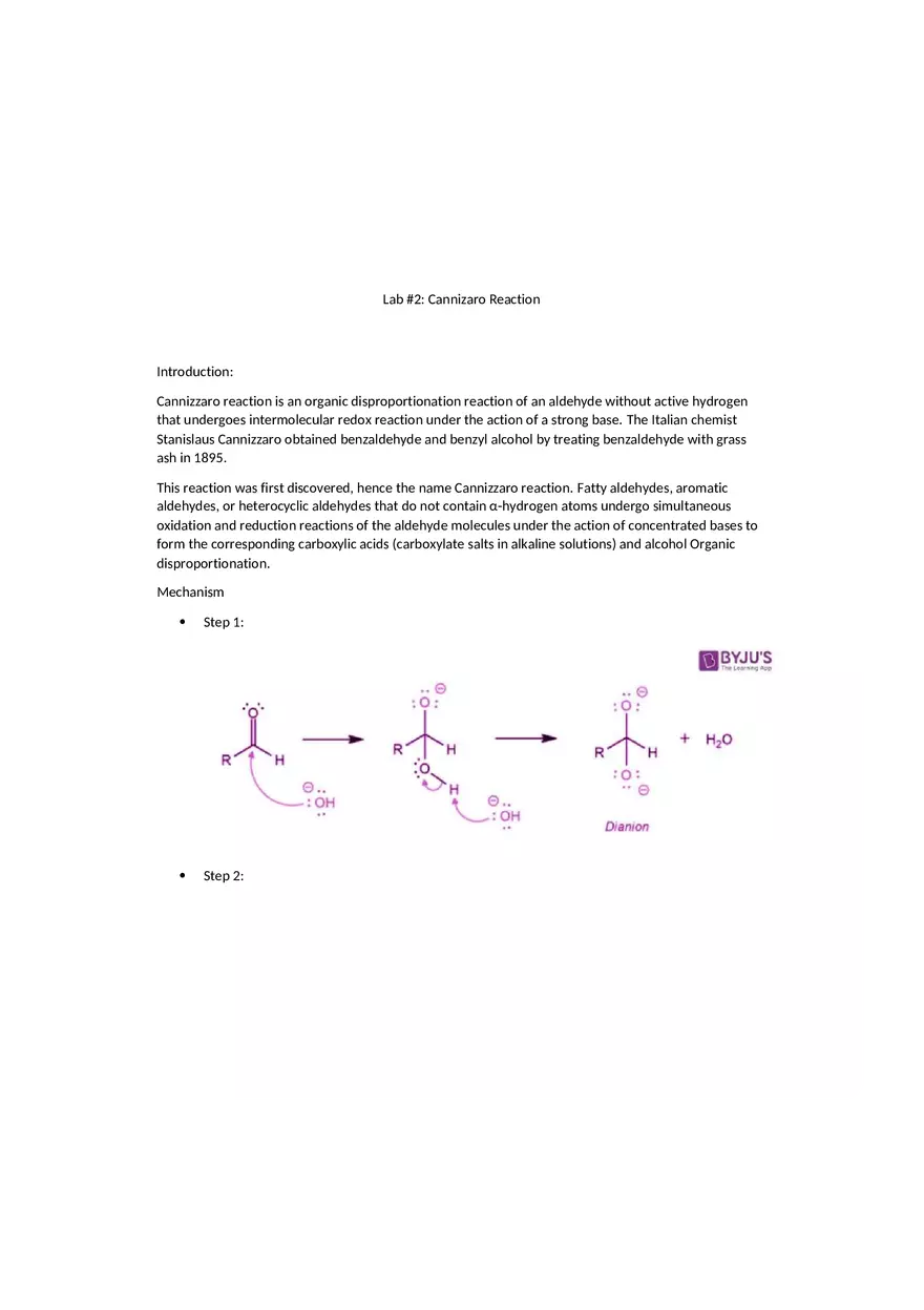 Lab 4 (Cannizaro Reaction) - Page 1