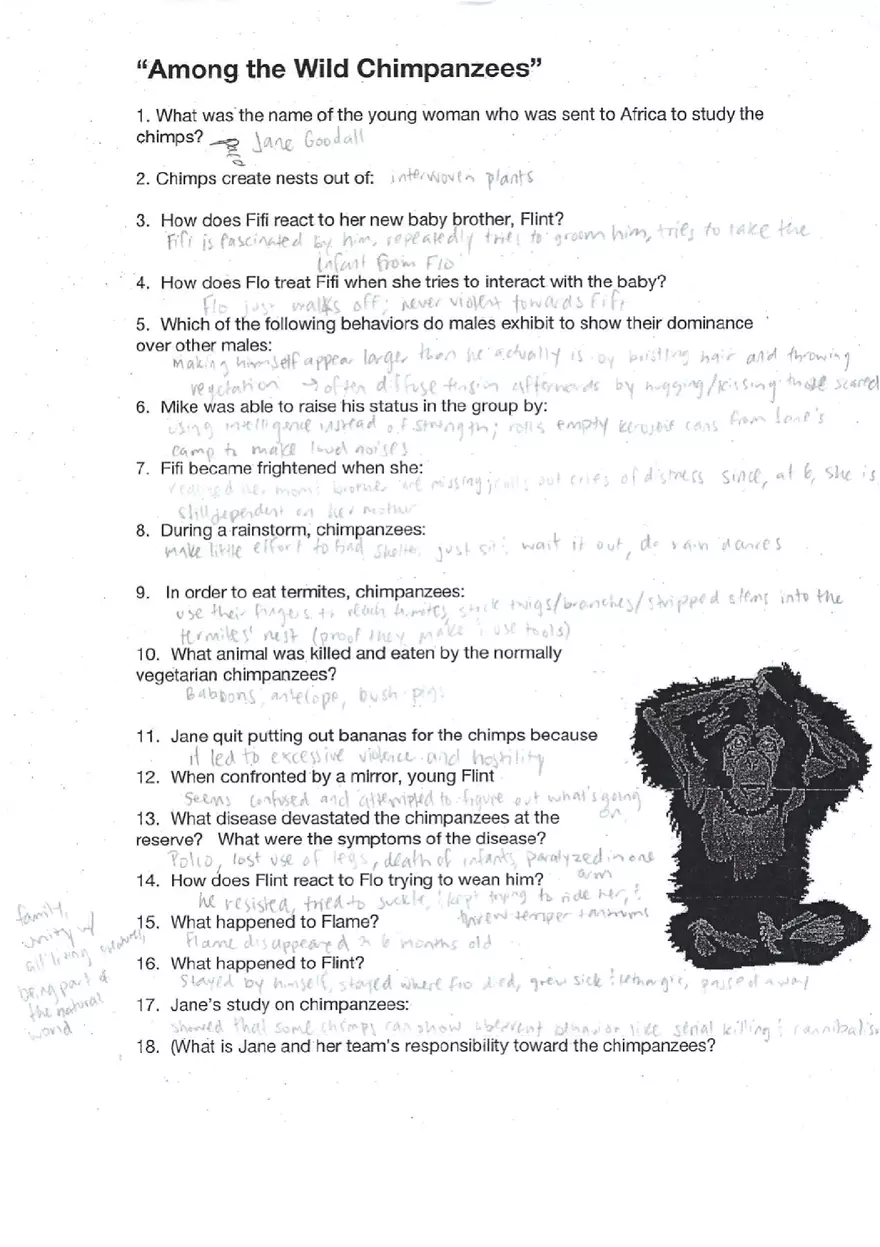 Among the Wild Chimpanzees - Page 1