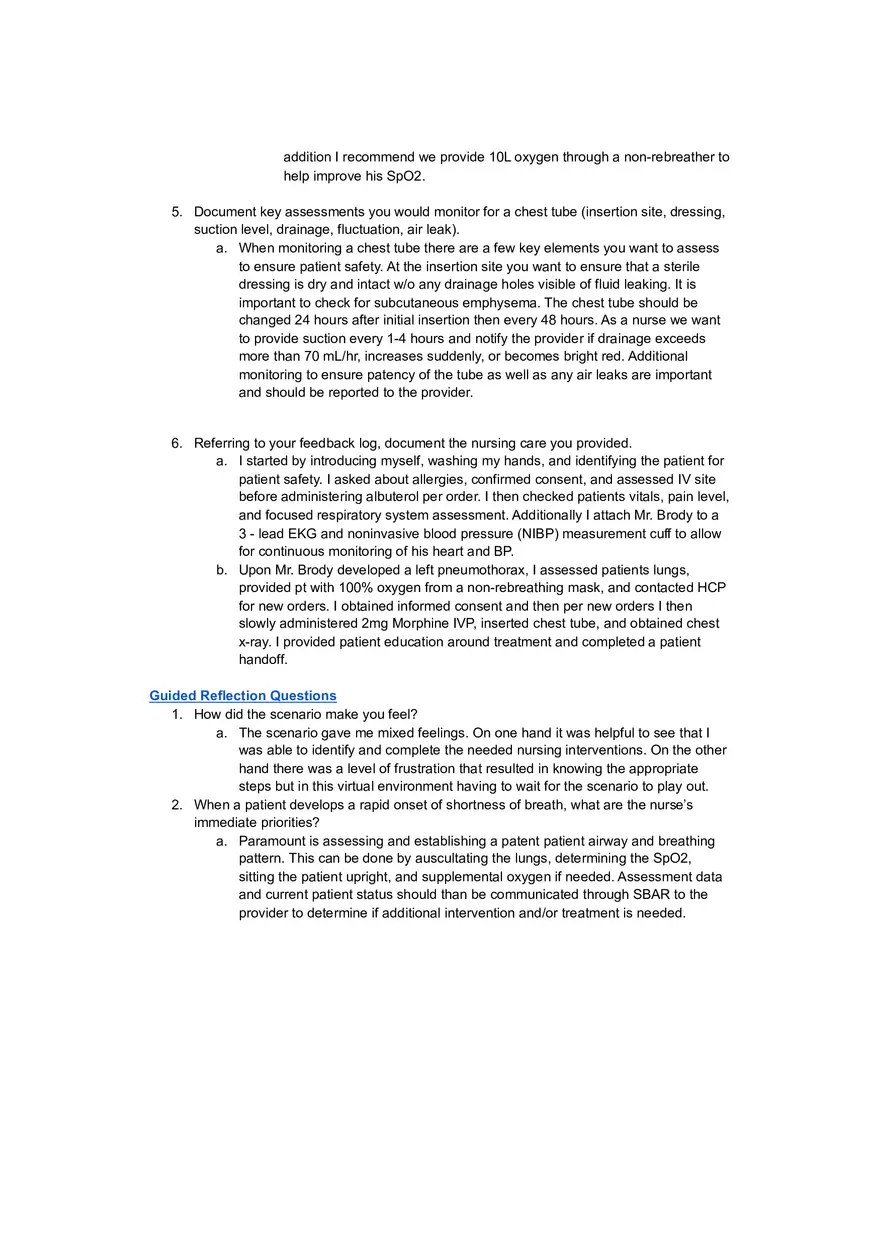 Vincent Brody Virtual Simulation - Page 2