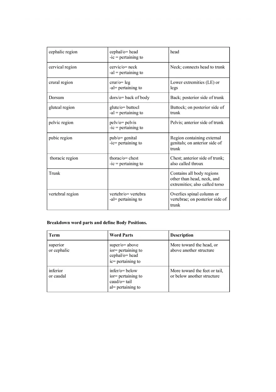 Medical Terminology Week 1 - Page 5