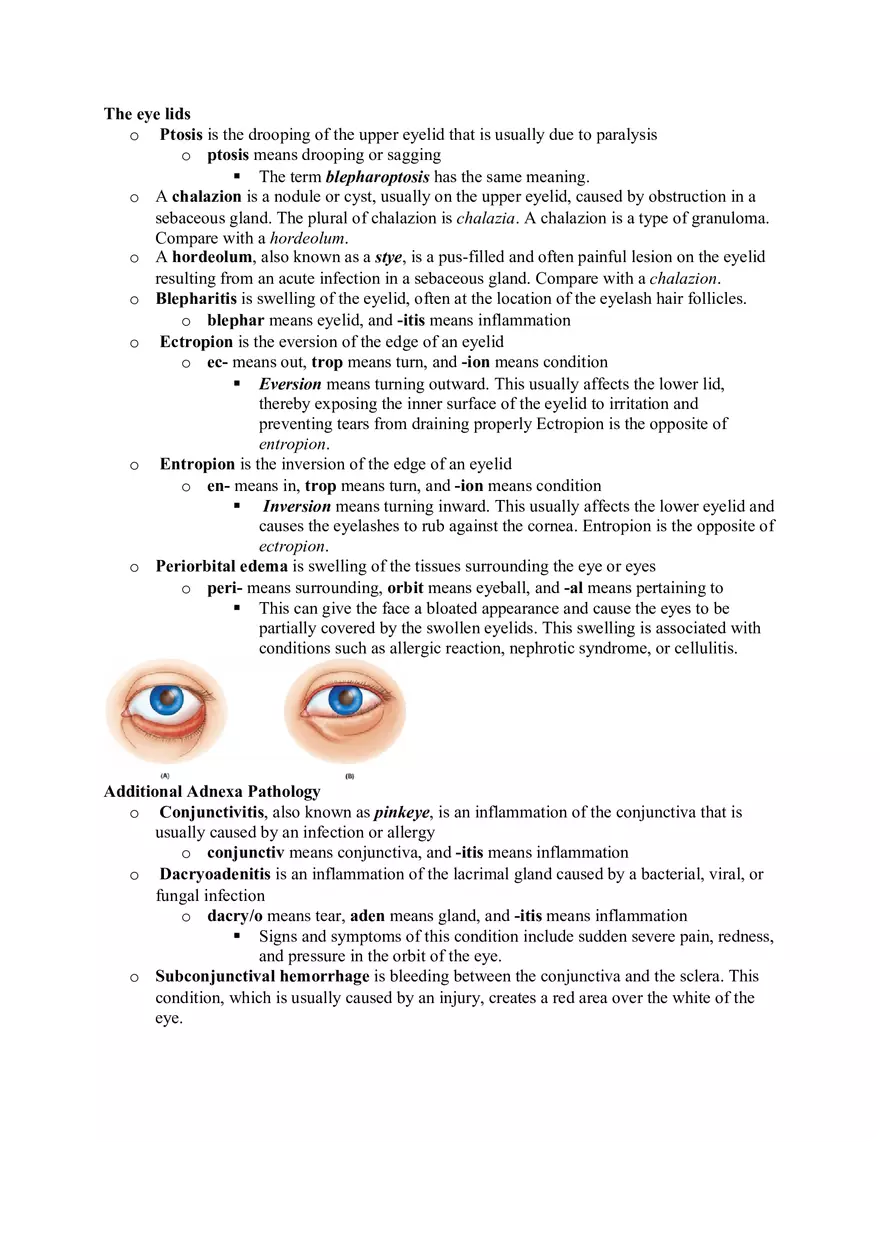 Medical Terminology Chapter 11 (1) - Page 6