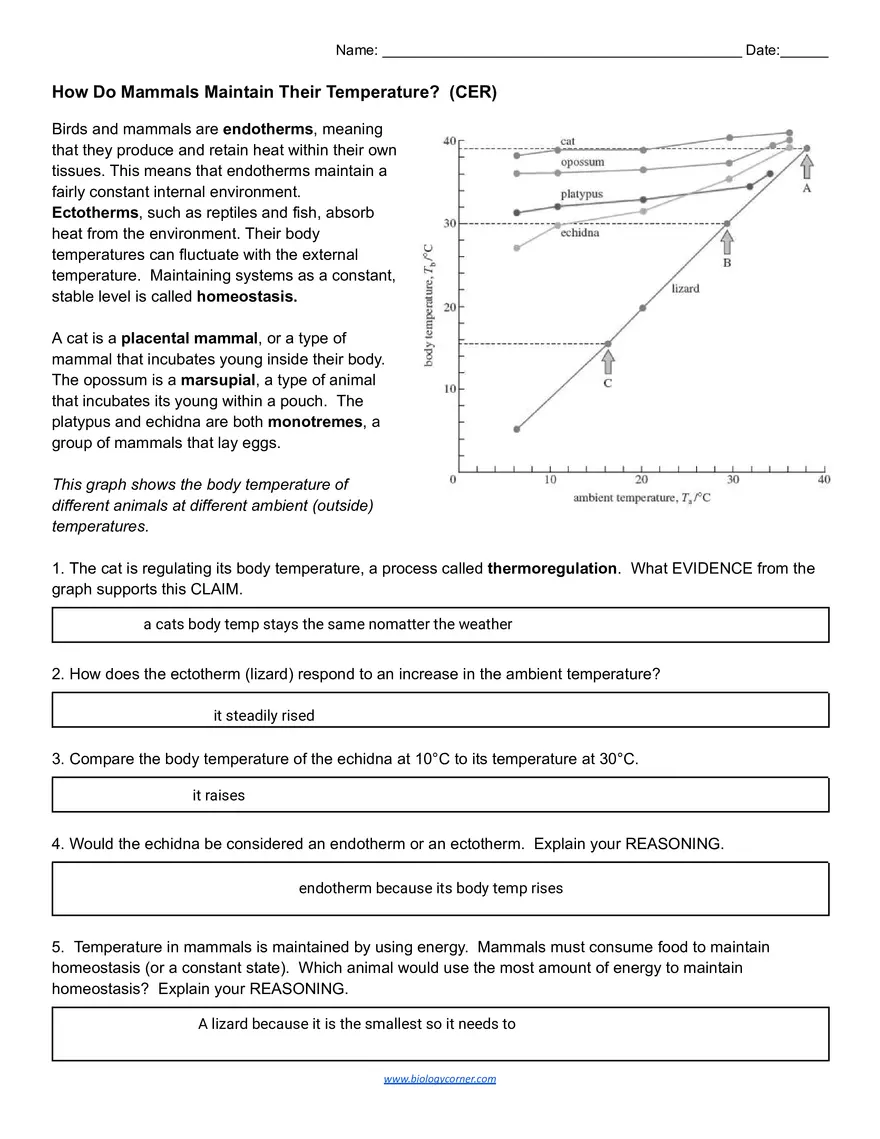 Thermoregulation of Mammals Activity - Page 1