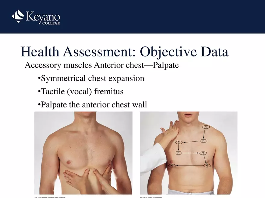 PN 158 Unit 10 Assessment of the Thorax and Lungs - Page 12