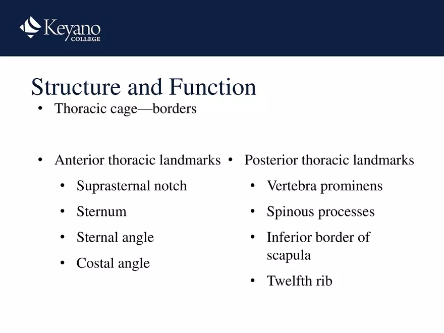 PN 158 Unit 10 Assessment of the Thorax and Lungs - Page 13