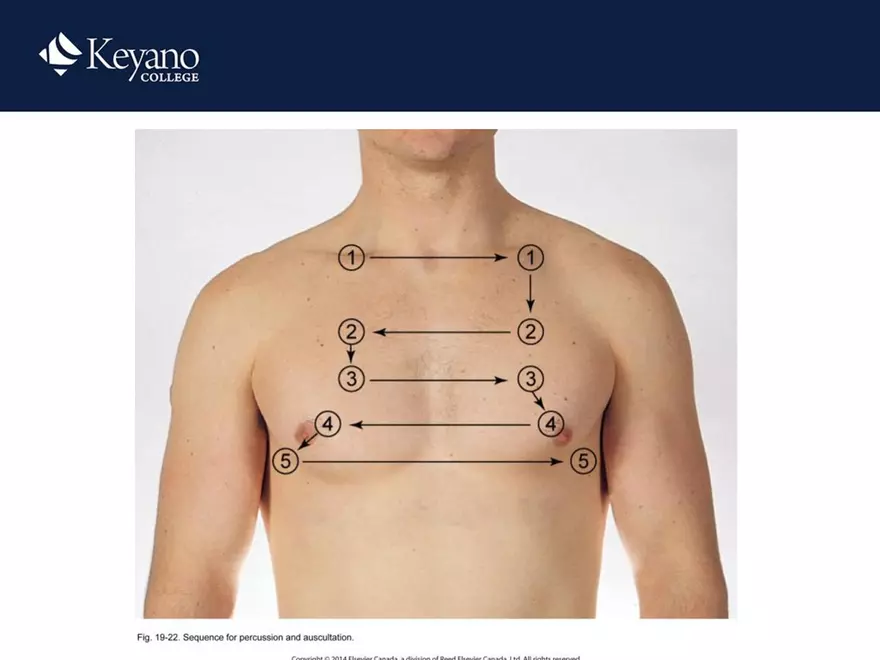 PN 158 Unit 10 Assessment of the Thorax and Lungs - Page 15
