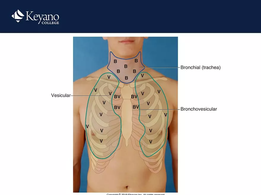 PN 158 Unit 10 Assessment of the Thorax and Lungs - Page 19