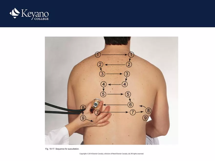 PN 158 Unit 10 Assessment of the Thorax and Lungs - Page 26