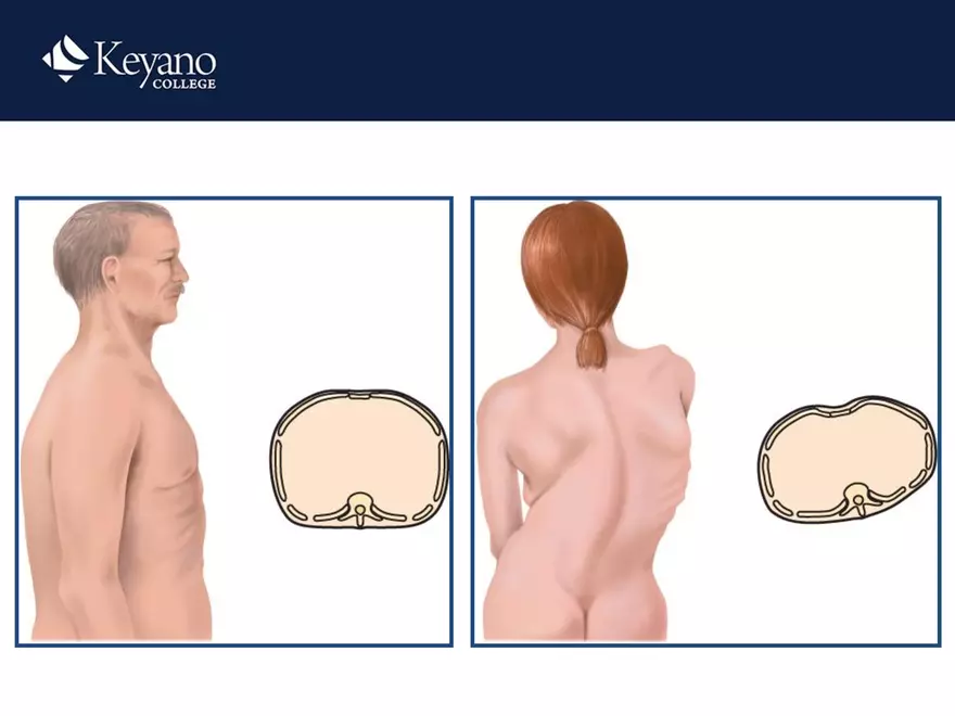 PN 158 Unit 10 Assessment of the Thorax and Lungs - Page 31