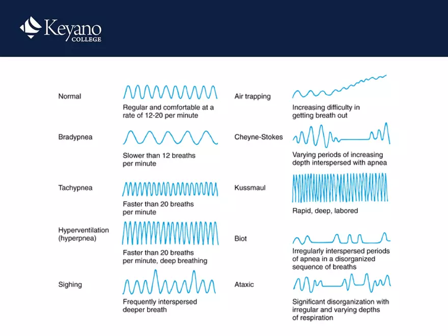 PN 158 Unit 10 Assessment of the Thorax and Lungs - Page 34