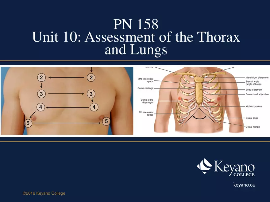 PN 158 Unit 10 Assessment of the Thorax and Lungs - Page 1