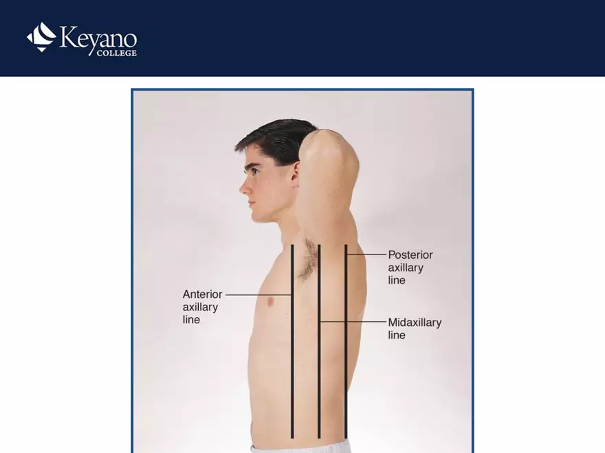 PN 158 Unit 10 Assessment of the Thorax and Lungs - Page 52