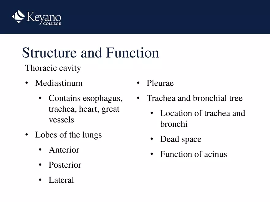 PN 158 Unit 10 Assessment of the Thorax and Lungs - Page 53