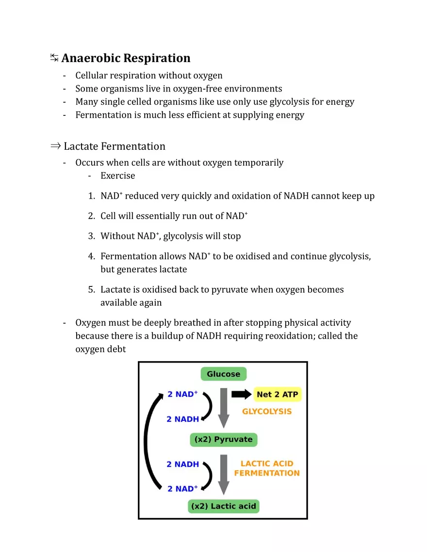 Unit 2 - Metabolism Notes - Page 10