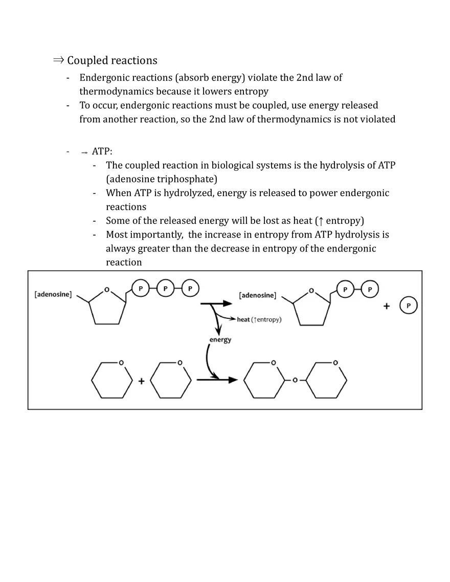 Unit 2 - Metabolism Notes - Page 13