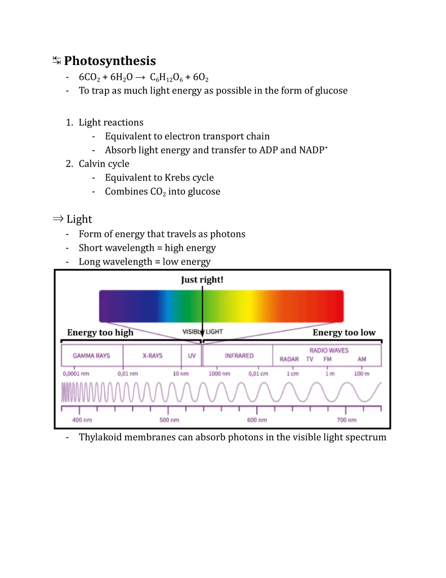 Unit 2 - Metabolism Notes - Page 15
